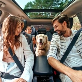 Viaggiare con animali